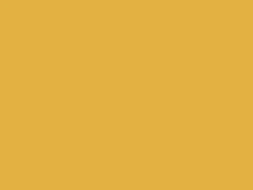 Galben curry