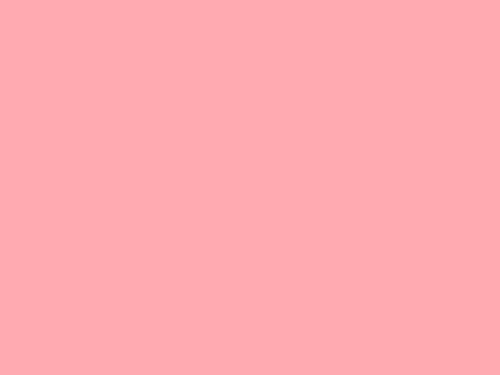 Roz flamingo