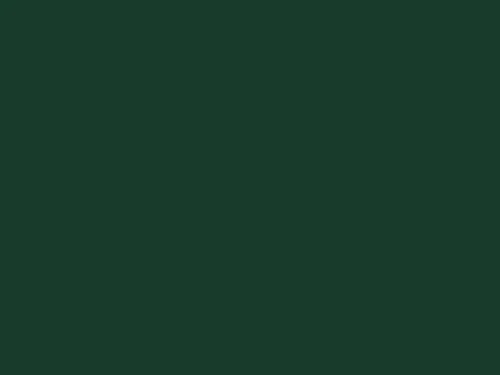 Verde padure