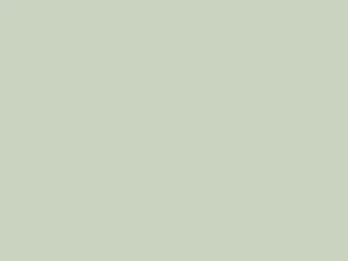 Verde fistic