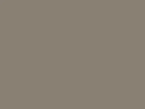 Taupe inchis
